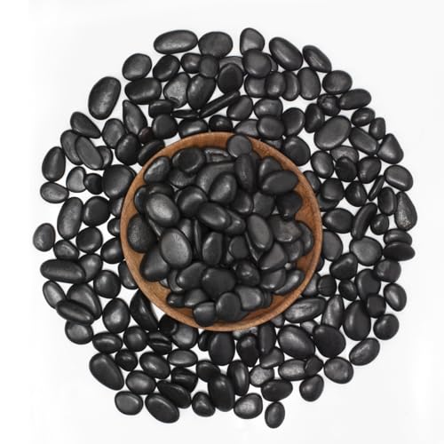 40 lbs Black River Rocks - Large Polished Black Pebbles for Plants & Garden Decorative Stones，0.5-1" Polished Pebbles for Landscaping, Fish Tanks, Flower Pots, Water Fountains - color: Black, size: Weight: 40 LB