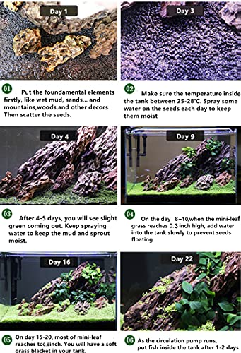 3 Pack Aquarium Plant s-e-e-d Combo,Fish Tank Tree Wood Grass Carpet Decor Decoration Ornaments 04MML