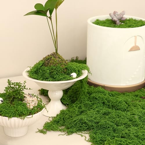 Fake Green Moss for Potted Plants Indoor, 5.3oz Artificial Moss for DIY Crafts, Decorative Faux Grass for Planters, Model Making,Table Centerpieces,Walls, Wedding, Terrariums, Fairy Garden Accessories - size: 5.3oz