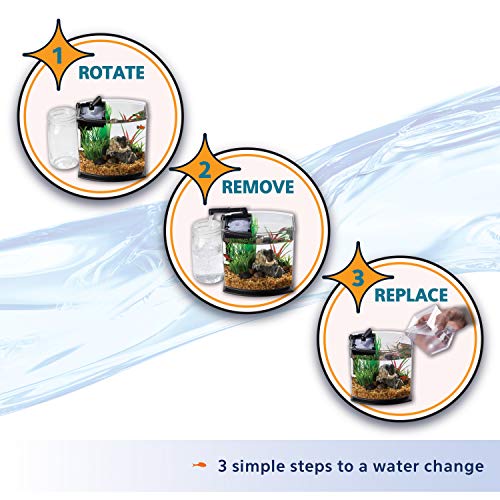 Aqueon LED MiniBow Small Aquarium Fish Tank Kit with SmartClean Technology, Black, 2.5 Gallon - color: Black, size: 2.5 Gallon