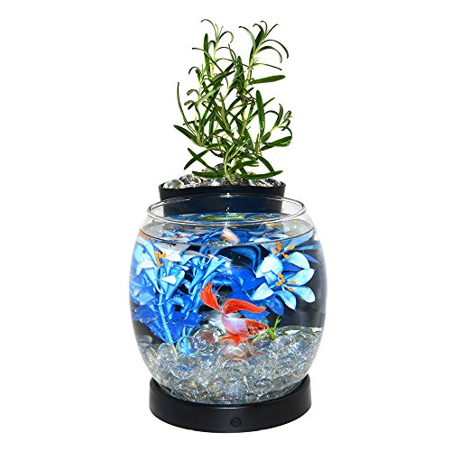Elive Betta Fish Bowl / Betta Fish Tank with Planter, Small 0.75 Gallon Aquarium, LED Light Timer, Black