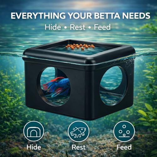 Black Floating Betta Fish Hideout with Round Holes & Window – Floating Cave Hammock, Feeding Platform & Resting Tunnel – Betta Fish Shelter for Nano Tanks, Bowls & Small Aquariums - color: C: Black