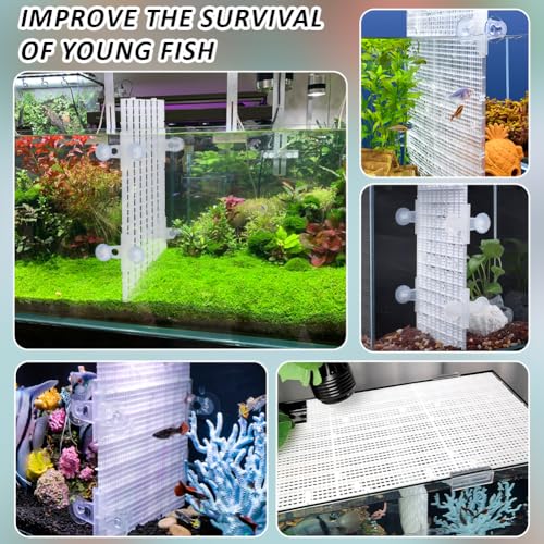 BENECREAT 12 Pcs Plastic Fish Tank Divider with 24 Suction Cups, 11.7x5.9 Inch Aquarium Isolation Grid Board for Separating Different Fish, White - color: White