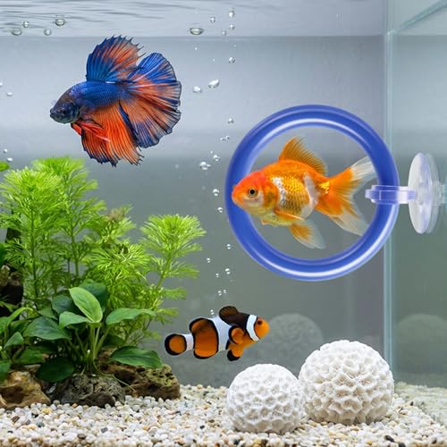 6 PCS Betta Fish Toys, 4 Exercise Training Ring 1 Fish Mirror with Ball and 1 Resting Leaf for Small Medium Stress-Free Fishes Bettas Aquarium, Multicolor