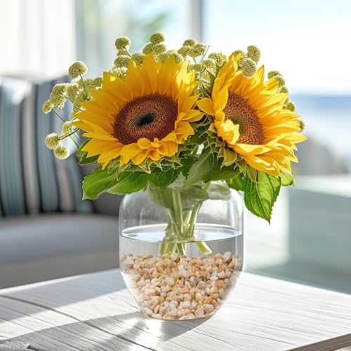 2.5 lbs Coarse Sand for Plants, 1/5 Inch Horticultural Sand for Vases, Aquariums, Terrarium, Fish Tank, Drainage Rocks for Potted Plants, Bamboo, Succulent, Crafts, Cactus - color: Gold Sand