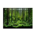 PVC Fish Tank Background Adhesive Underwater Forest Tank Background Poster Backdrop Decoration Paper (24.02x16.14in)