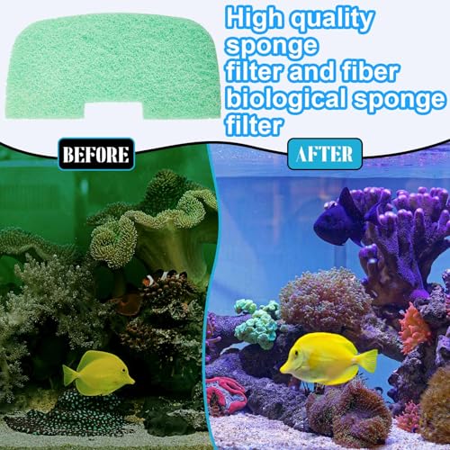 Threlaco 10 Pack Compatible with Fluval 106/206/107/207 Phosphate Remover Pads, Aquarium Canister Filter Media Replacement Pads for Fish Tank (Green) - color: 106/107/206/207 Phosphate Remover