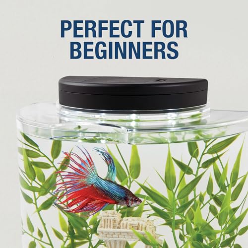 Tetra LED Half Moon Aquarium Kit, 1.1 Gallons, Small, Clear Plastic Fish Tank With Curved Front, Easy Feeding And Movable, Energy-Efficient LEDs Ideal For Bettas Great As Desk Aquarium