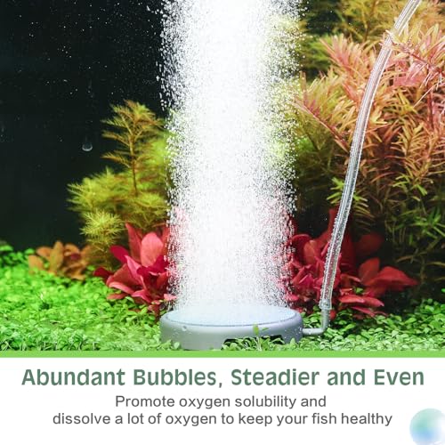 hygger Aquarium Air Stone Fish Tank Bubbler Quiet Ultra High Dissolved Oxygen Stone Kit Nano Fish Tank Air Stone Bubble Stainless Steel Air Stone for Aquarium Fish Tank and Hydroponics-3.0inch - size: 3.0inch