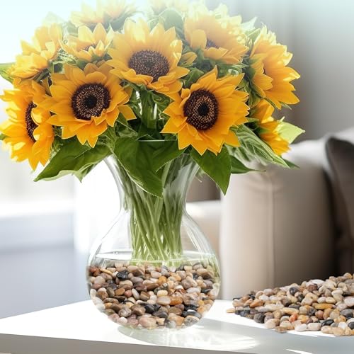5 lbs Pebbles for Indoor Plants, Vase, Succulent, 3/8" Gravel for Plants, Pots Indoor, Bamboo Rocks for Bamboo Plants, Decorative Small River Rock, Highly Polished - color: Mixed Color