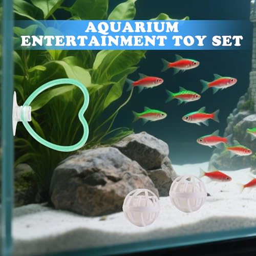 Betta Fish Toys, 2 PCS Heart Fish Exercise Ring and Nitrifying Balls Set, Heart Betta Mirror Toy Set, Feeding Ring with Suction Cup, Fishing Tank Accessories for Gifts (Green) - color: Green Heart
