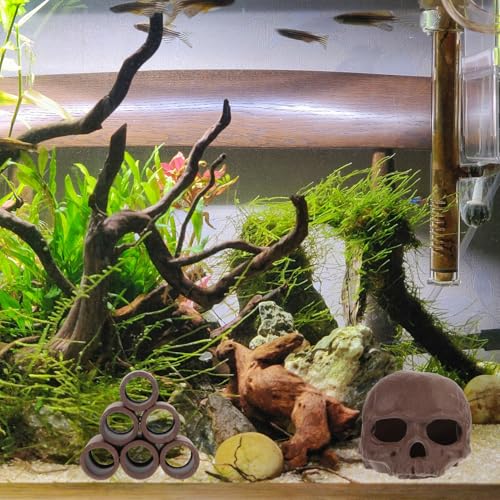 TOYANDONA 2pcs Wear-Resistant Fish Tank Decoration Shrimp Hideout Compact Ceramic Cave with Six-Hole Tube Vivid Aquarium Ornament for Fish and Shrimp Spawning