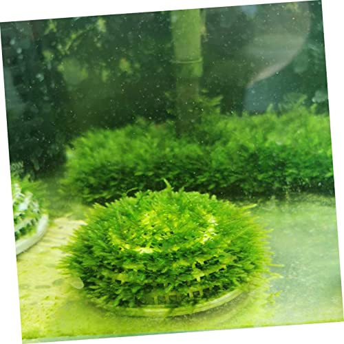 FOMIYES Water Grass Landscape Decors 2pcs Aquarium Moss Holder Plant Breeding Containers Safe for Home Aquarium - color: White, size: 8x8cm