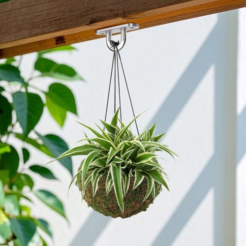 3 Pack Moss Ball Flower Pots,7 in Natural Planter Bonsai Plant Holder Bird Nest for DIY Gardening Home Table Decoration,Weave Moss Ball Planter,Garden Plant Potted Hydrating Flowerpots