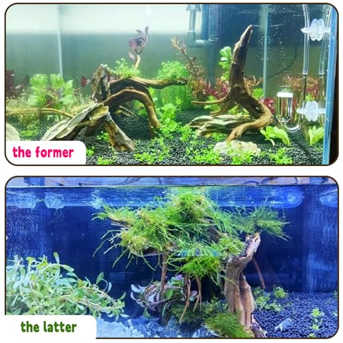 Hamiledyi 5PCS Driftwood for Aquarium 7-9in Natural Reptile Spider Wood Assorted Branches Aquarium Decoration Fish Tank Ornament Decor - size: M:Spiderwood 7-9in 5PCS