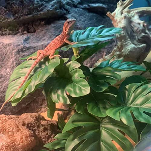 Reptile Plants for Terrarium Decor,Amphibian Habitat Decor,Artificial Plants for Gecko Chameleon Snake Tortoise Tank Accessories with Base (Monstera deliciosa) - color: Monstera Deliciosa