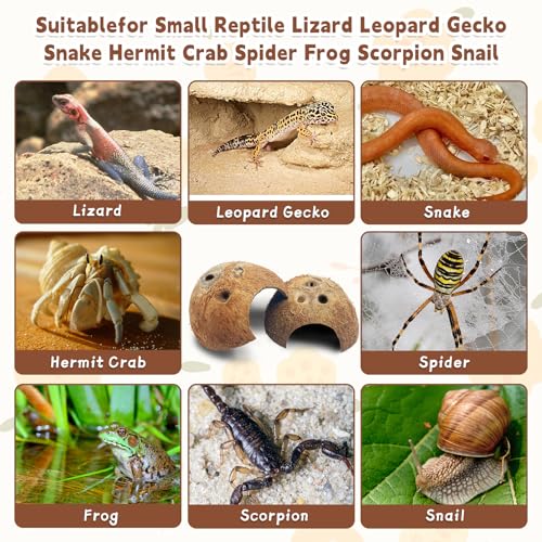 Natural Coconut Reptile Hideouts Lizard, Coco Hut Hermit Crab Hut Aquarium Fish Hide Cave for Small Reptile Crested Gecko Leopard Gecko Spider Snail Climber Toys (4 PCS Natural Surface)