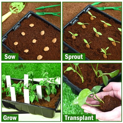 YoleShy 5 Packs Seed Starter Tray with Dome Reusable Plastic Plant Growing Trays with Humidity Domes Thickened Sturdy for Seed Starting Germination Growing Seedling Propagation,14.5"x9" - size: 5 Pack with Domes
