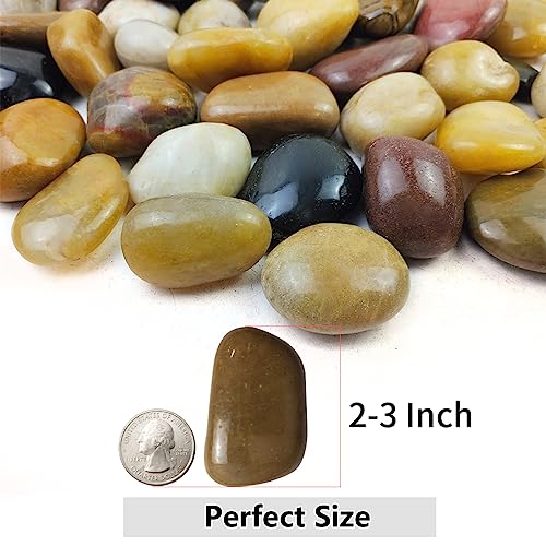YISZM 5lbs Pebbles for Indoor Plants, 2-3 Inch Mixed Color High Polished Large River Rocks Outdoor Decorative Stones Vase Filler Fish Tank Aquariums Landscaping Garden Outdoor and Indoor DIY - color: Mixed Color, size: 5 Pounds