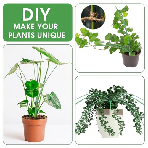 6 Pack 17'' Climbing Plant Support Stakes Moss Pole Monstera Plant Climbers Trellis Plants Stem Supports for Indoor Outdoor Climbing Potted Plants Flower Grow Upwards Green