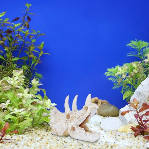 Saim Resin Dinosaur Triceratops Skull Model Aquarium Decoration | Reptiles Hideout, Fish Tank Ornament, Home Office Display