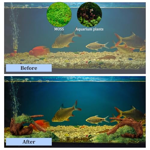4PCS Driftwood for Aquarium, 1.96''-5.91'' Aquarium Driftwood, Fish Tank Driftwood, Ideal for Fish Tanks, Freshwater Aquariums, Terrariums（Random Style）