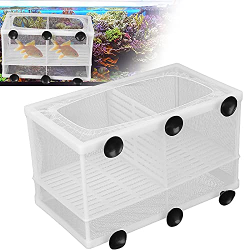 Fish Breeding Aquarium Box, Multifunctional Fish Breeder Box for Small Fish, Large with Partition - size: Large with partition