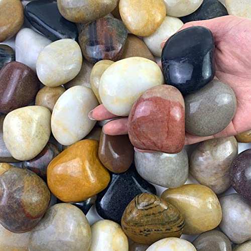 FANTIAN 40 lbs Large River Rocks for Outdoor Landscaping, 2-3 Inch Natural Decorative Pebbles for Potted Plants Aquarium Fountain Garden Rocks and Yard Paving Stones - size: 2-3 Inch, style: 40 Pounds