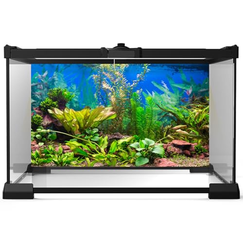 2 Packs Underwater Aquarium Background Various Aquatic Plants Undersea Fish Tank Background Stone Rock Cork Sandy Ocean Seabed on Blue Backdrop Aquarium Fish Tank Enclosure Backgrounds 24x16in - color: Blue_Green, size: 24(W)x16(H)inches/ 60(W)*40cm(H)