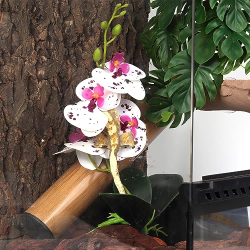 Fake Orchids Artificial Flowers, Reptile Terrarium Decor Plants, Bearded Dragon Tank Accessories fit Crested Gecko Leopard Lizard Chameleon Ball Python Snake Frog - Spotted - color: Spotted
