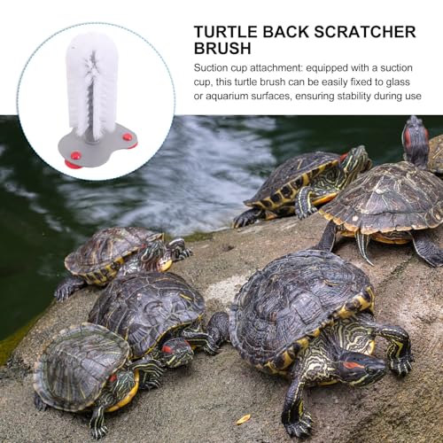 minkissy Turtle Brush with Suction Cup for Aquarium Soft Bristle Scrubber for Turtle Shell Cleaning and Back Scratching Red Suction Pad for Reptile Health