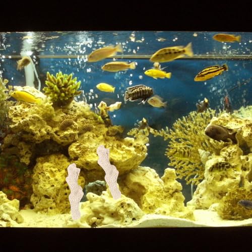 STOBOK Aquarium Filter Media Natural Coral Crushed Coral Substrate with Mesh Bag for Fish Tank and Pond Filtration 1.57X0.59X0.59 Inch