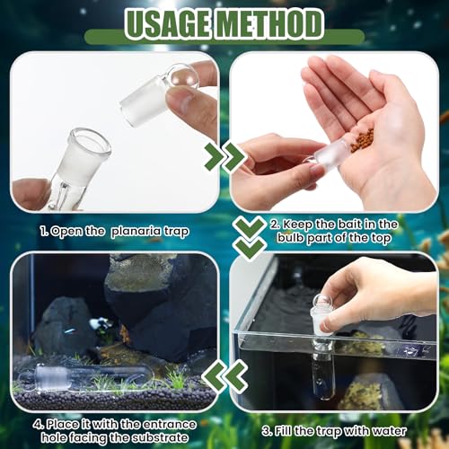 Qualirey 4 Pack Planaria Catch Trap for Aquarium Snail Leech Clear Glass Planaria Trap for Dwarf Shrimp Red Cherry Shrimp Tank(3 Holes) - style: 3 Holes