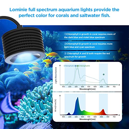 Lominie LED Aquarium Light, Nano Coral Reef Light Clip on Aquarium Light Full Spectrum Remote Control Fish Tank Lamp Dimmable for Saltwater Fish Tank (Saltwater) - color: A20 saltwater