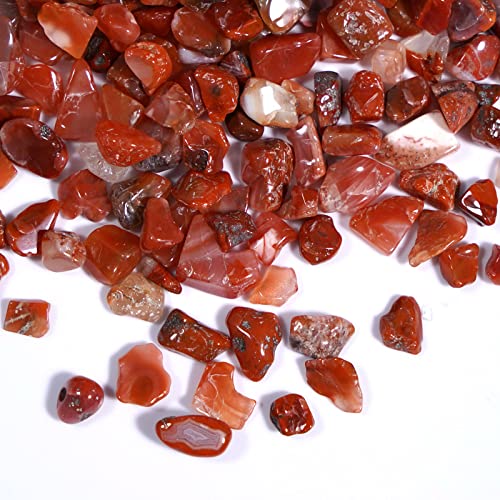 gemshan 2lb Carnelian Chips Natural Crushed Crystal Chip Bulk 7mm-9mm Tumble Healing Crystal Stone for Aquarium Vase Plant Decoration Jewelry DIY - color: Carnelian