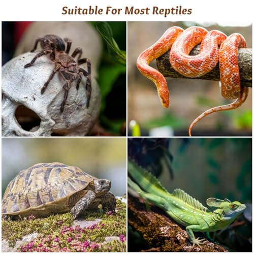 Yardwe 6Pcs Reptile Feeding Tank Buckles Turtle Terrarium Lock Latch Compatible with Nomo Yl-07 Secure Anti-Escape Locks for Turtle and Amphibious Tanks