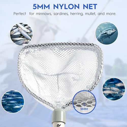 BasicGear Compact Baitwell Net for Live Bait – Soft Nylon Mesh, Aluminum Frame, EVA Non-Slip Grip & Anti-Drop Rope - size: Small + Medium