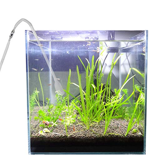 CO2 Glass Aquarium Supply Accessories, CO2 Diffuser CO2 Drop Checker CO2 Bubble Counter Check Valve for Aquarium Planted Tank (Check Valve)