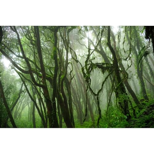 Tropical Fish Tank Background Jungle Reptile Terrarium Background Forest with Moss Reptile Tank Background Tropical Rainforest Jungle Enchanted Forest Woods Old Tree Reptile Habitat Background 24x12in - color: Foggy Green, size: 24(W)x12(H)inches/ 60(W)*3
