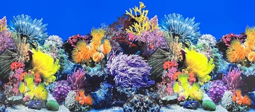 XCNO Fish Tank Background Sea Anemone Coral Theme Aquarium Background Poster Fish Backdrop for Aquarium Wallpaper Double-Sided Fish Tank Sticker Paper - color: Seafloor, size: 11.6" x 25" In