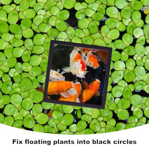 PAGOW 10pcs Fish Feeding Rings Set, Floating Aquarium Plant Corral, Round & Square Fish Feeder Rings for Fish Tank, Floating Plant Ring, Fish Tank Aquarium Accessories for Betta (Black) - color: Black