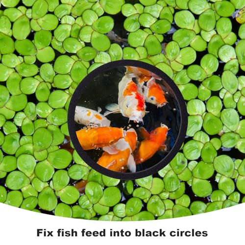 PAGOW 10pcs Fish Feeding Rings Set, Floating Aquarium Plant Corral, Round Fish Feeder Rings for Fish Tank, Floating Plant Ring, Fish Tank Aquarium Accessories for Betta (Black) - color: Black(round)