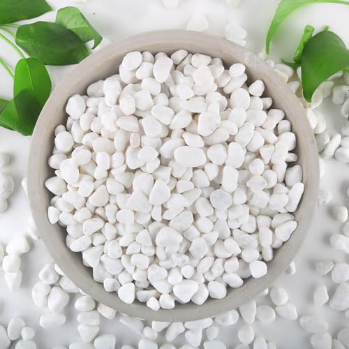 Mulctun 6Lb White Rocks for Plants, 1/4"-3/4" White Pebbles, Decorative Stones for Vases, Small Aquarium Gravel for Fish Tank Garden Rocks for Potted Plants & Home Decor - size: 6 LB