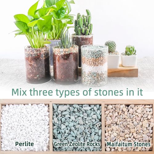 3lb Mix Rocks for Plants in Door -Mix Perlite,Maifanitum Stones,Zeolites Rocks for Bonsai Succulent Cactus Potting Soil and Vase Fillers, Fairy Gardening,Top Dressing - color: Mix Rocks, size: 3lb