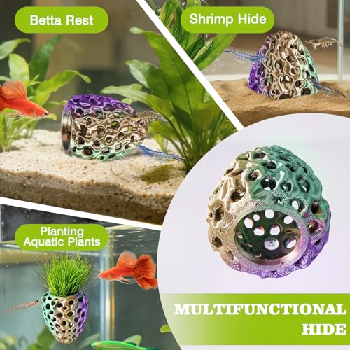 Shrimp Dome Hide, Shrimp Hides for Aquarium, Betta Fish Hideout with Suction Cup, Betta Habitat Tank Ornament Accessories, Aquarium Decor for Small Fish Guppy Hiding Resting (Green Purple) - color: Green Purple Gradient