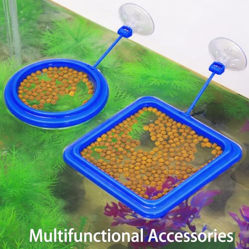 Turtle Brush, Turtle Tank Decor with Suction Cup, 5-Piece Aquarium Cleaning Kit for Turtle Habitat Maintenance, Turtle Tank Decorations with Durable TPR and PP Materials