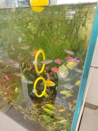 Betta Fish Enrichment Toys Ring and Mirror Floating Exercise Mirrors and Training Ring Floating Mirrors Aquarium with Feeding Rings Aquarium Accessories with Suction-Cup (Yellow) - color: Blue