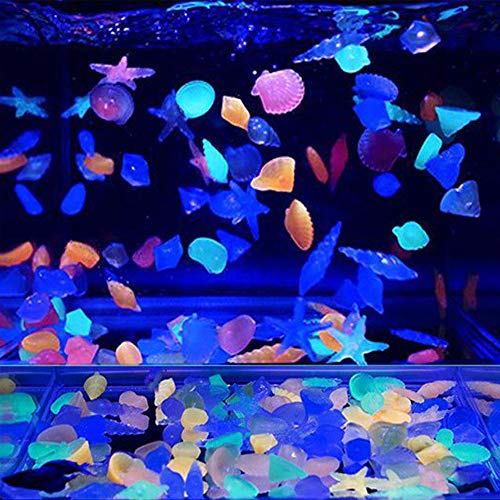 Oubest Glow in The Dark Pebbles/Glow Stones/Glowing Rocks Blue Decor for Garden/Fish Tank/Aquarium/Walkway/Driveway/Plant Pots/Bonsai (100, Starfish) - color: starfish