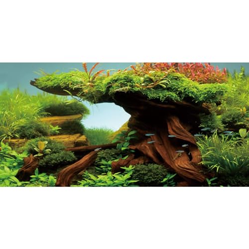 AWERT 48x24 inches Wood Fish Tank Background Seaweed Aquarium Background River Bed & Lake Aquarium Background Vinyl Background - size: 48x24in/120x60cm