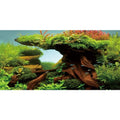 AWERT 36x18 inches Wood Fish Tank Background Seaweed Aquarium Background River Bed & Lake Aquarium Background Vinyl Background - size: 36x18in/90x45cm
